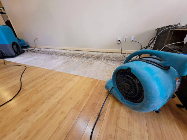 Reliable Basement Flood Cleanup contractor in Midland, NC by Hirex Water Damage