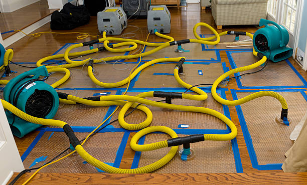Professional Basement Flood Cleanup technician working in Midland, NC